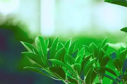 在这些特殊时刻,依然不愿意主动的男人,可见并不爱你