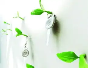 创意生活组图