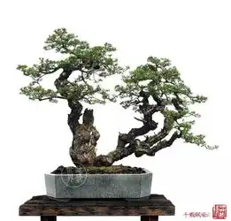 韩学年大师作品清赏