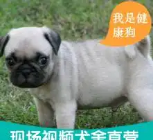 黄页88高清图片