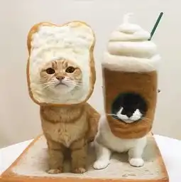 今天才知道能百搭的居然是猫