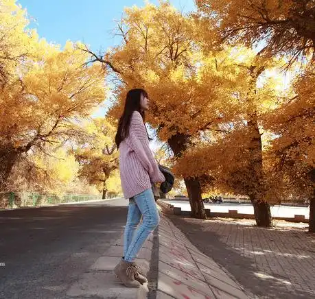十一出游非热门系列最美不过内蒙古的胡杨辽宁的枫叶