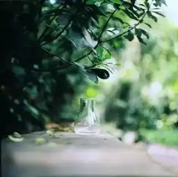 撑不住的时候,看看吧