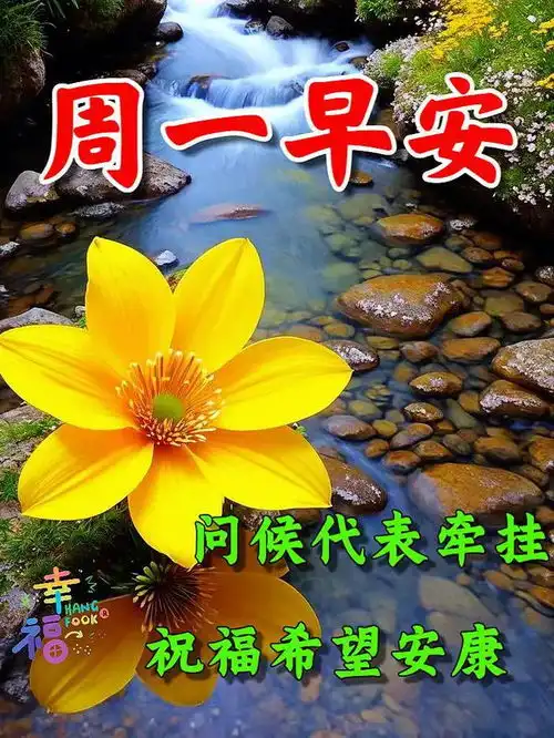 2024年8月26日星期一秋天早安祝福图片,落叶知秋,愿你入秋心情清凉,事业火热,健康平安网易订阅