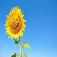 测试一个超长简介的文章