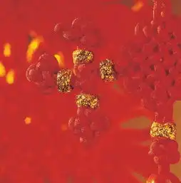 文化精髓中国结欣赏