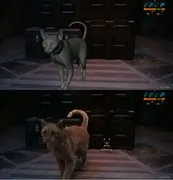 漫威惊奇队长电影特效揭秘原来弗瑞局长撸的不是猫