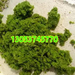 鲜秸秆专用打浆机根茎植物专用打浆机-黄页88网