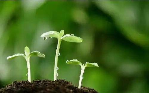 测试一个超长简介的文章