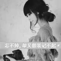 玫瑰花的妖媚