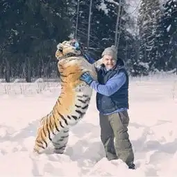 骑老虎遛弯,和熊打架这个俄罗斯男人比贝爷还猛啊