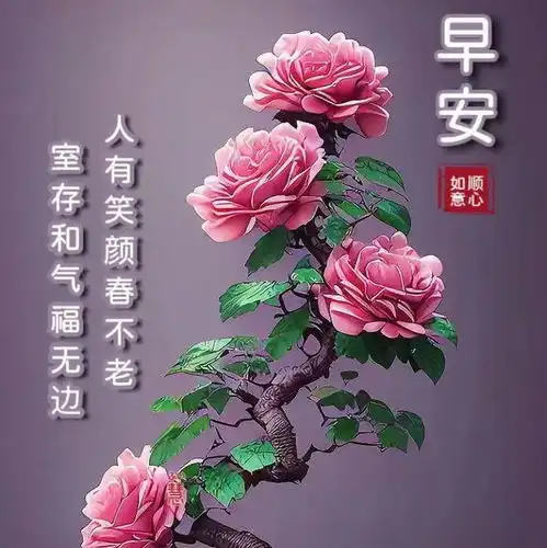早安祝福问候语图片带字祝福大全,愿我们每天都健康平安幸福