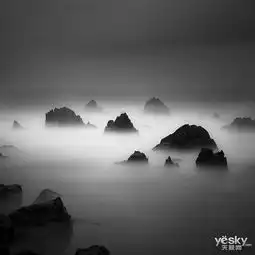 空蝉之意黑白意境风光摄影作品欣赏