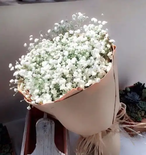 花语无声的情感表达
