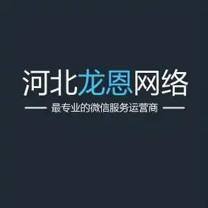 河北龙恩网络科技有限公司