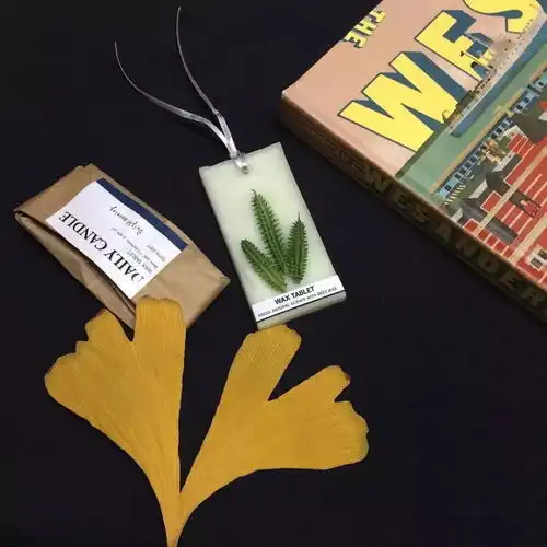 网易云热评女朋友和我是异地恋,有一天一口饭没吃来到大理,看到的