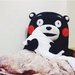 求熊本熊图片
