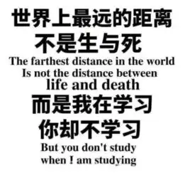 沉迷于学习下一句