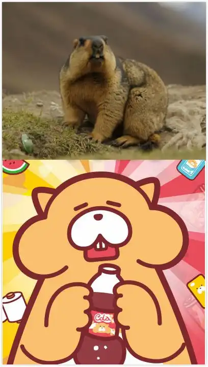 gon的旱獭魔性旱獭演绎肥宅日常,你的膝盖中了几箭