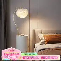 dl落地灯dl落地灯客厅沙发简约现代床头极简立灯氛围灯卧室书房灯黑色120cm三色调光多少钱