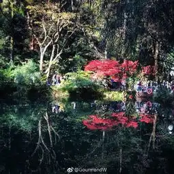 昨天,长沙100000人去岳麓山赏枫打卡手机信号都挤没了