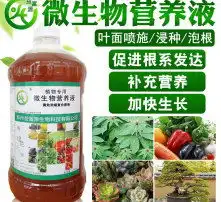 黄页88高清图片