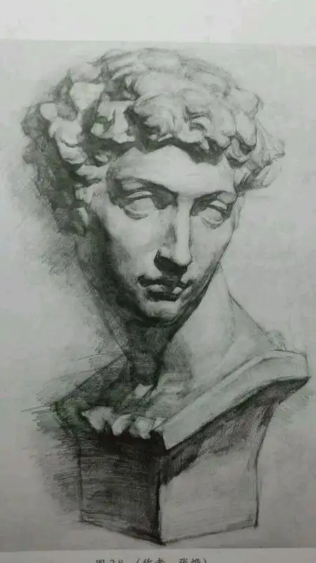 小卫素描石膏高分卷