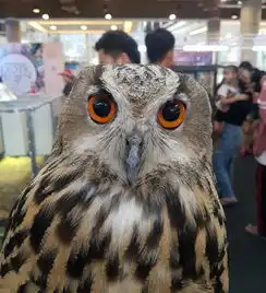 六一去哪玩带孩子来这些地方共享欢乐时光