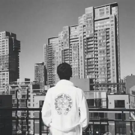 测试一个超长简介的文章