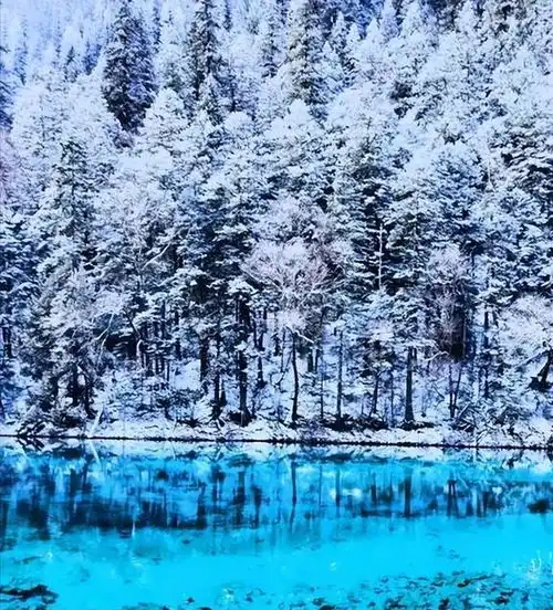 没有口罩的第一个冬天,去这8个看雪胜地,看中国最极致的冬天