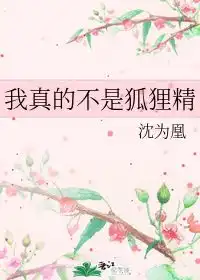 我真的不是狐狸精沈为凰