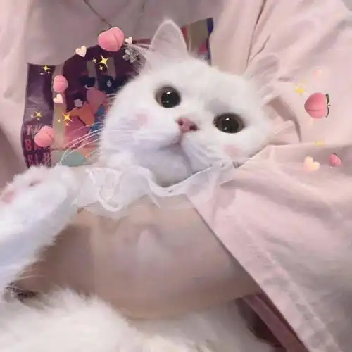 情头可是我还是很想你
