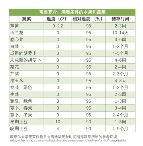 疫情来时,你家现在的囤货能吃多久这些东西要优先囤