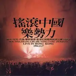 刺猬翻唱魔岩三杰,在1994年香港摇滚乐活了3个小时