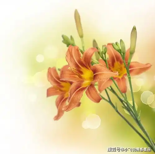 具有恋爱天分,桃花朵朵开,魅力无限,异性缘太旺的4大生肖