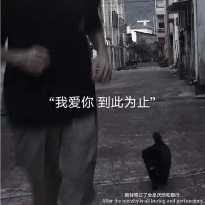 唯美文字图片