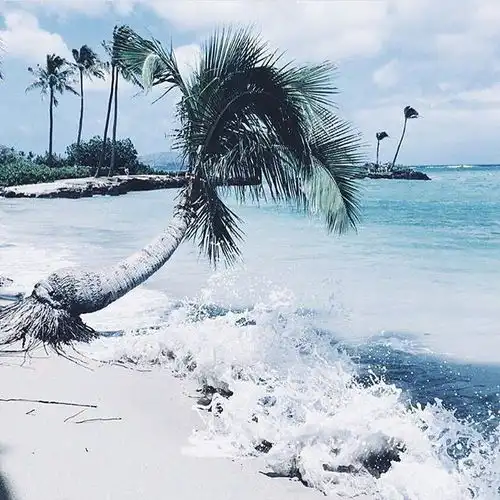 测试一个超长简介的文章