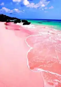 这个免签小岛不仅有浪漫粉色沙滩,还生活着世界上最幸福的小猪,想去这里游泳过夏天