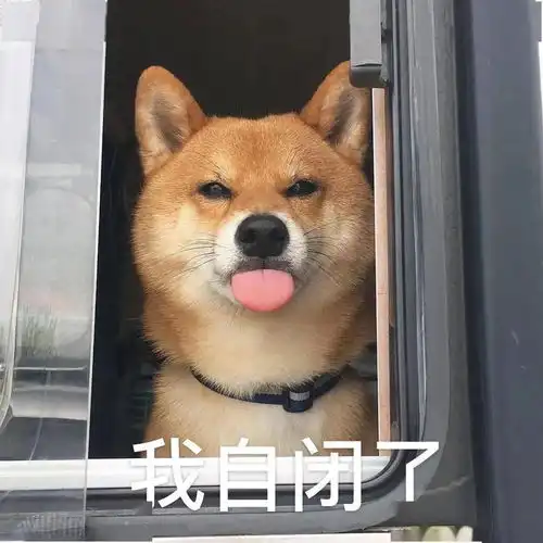 感恩的你,竟然选择这种报恩方式