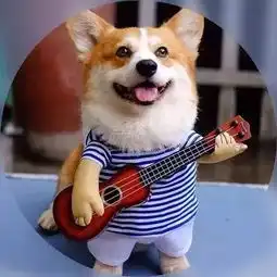 新馆亮相,赛事纷呈,谁羽争锋