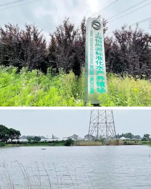 喜报青浦3家水产养殖单位成功创建国家级水产健康养殖示范场