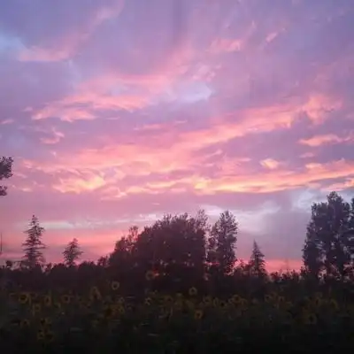 苏辙风景你是日落弥漫的橘风景静物头像我要个性网