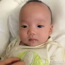 范玮琪晒双胞胎儿子萌照兄弟俩表情逗趣可爱十足