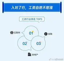 工资报告