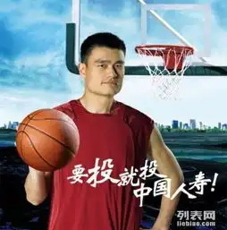 中国人寿保险公司国企