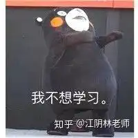 为什么语文总是考不高是孩子不够聪明吗金老师来告诉你答案