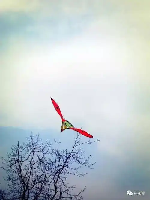 测试一个超长简介的文章