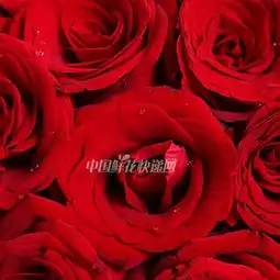 愿你如意