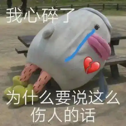 今日冬至新一轮冷空气台风来了厦门人挺住