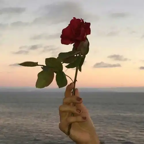 测试一个超长简介的文章